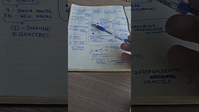 ОСНОВЫ РЕАЛЬНОСТИ. ЧАСТЬ 1.