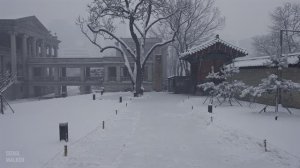 Snowy Morning Stroll at Deoksugung Palace | Walking Tour Seoul
