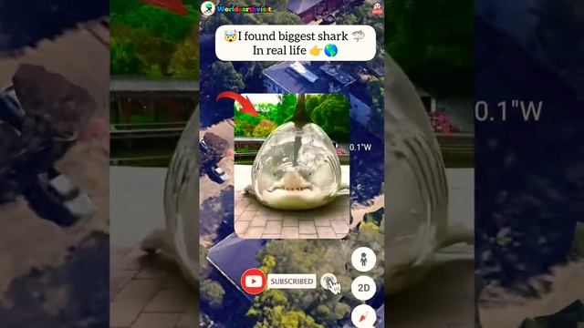 🤯I found biggest shark 🦈 on google maps and google earth 🌎 #shorts #viral #earth #worldearthvisit