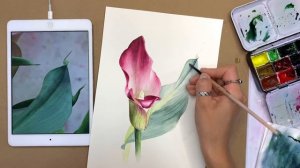 Ботаническая иллюстрация. Часть 6