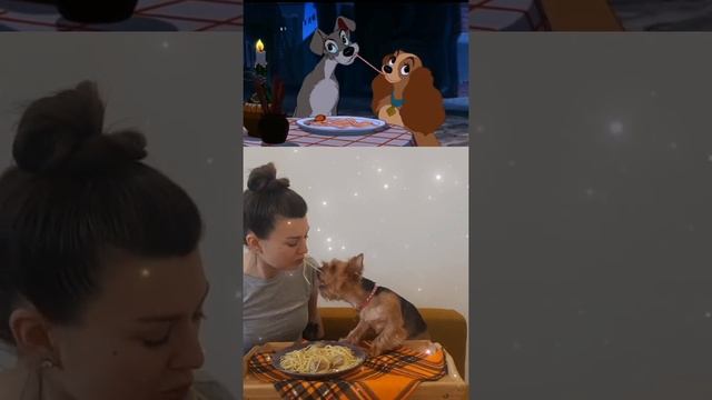 ЕДИМ СПАГЕТТИ С ЛЕДИ И БРОДЯГОЙ|EATING SPAGHETTI WITH THE LADY AND THE TRAMP #собака #dog #개 #狗 #犬 смотреть онлайн