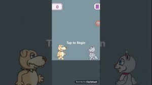 моя говорящяя кошка (Арабка) 2!