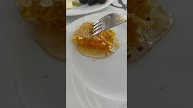 honey мёд течёт