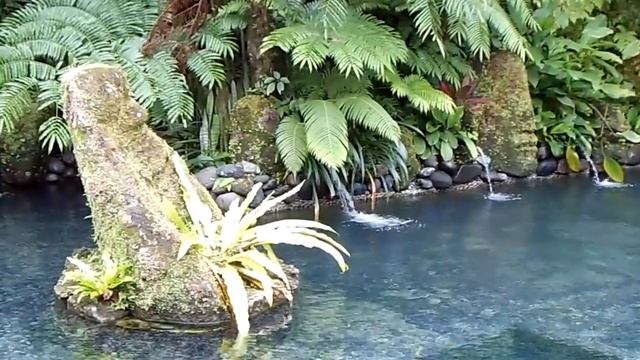 Holy Springs Pool@The Royal Pita Maha  Ubud Bali part 1