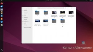 Обзор файлового менеджера Nautilus в Ubuntu.