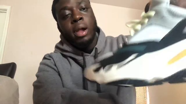Yeezy Boost 700 wave Runner