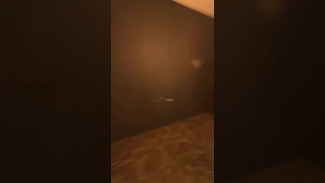 Ремонт от компании Светелкин