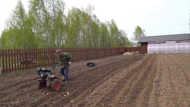 Мотоблок Угра. Посадка картофеля 2022. смотреть онлайн