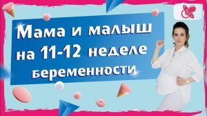 11-12 неделя беременности. Что от нее ждать?