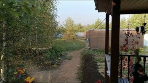 Немецкая овчарка ест и приносит миску.