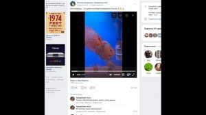 Это может случится с каждым №2!!!!