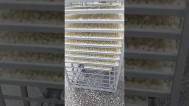 ЛОТКИ ДЛЯ ЗАМОРОЗКИ 340Х460 смотреть онлайн