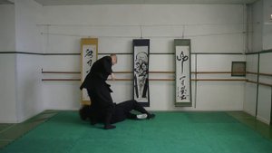 Kukishin Ryu Shoden Gata
