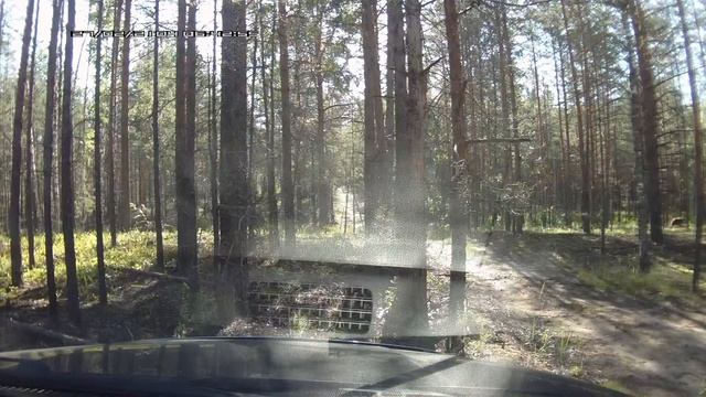 Встреча с мишкой в лесу смотреть онлайн