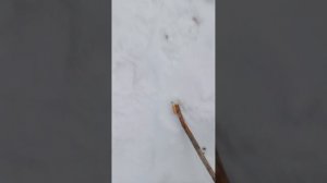 короче говоря попали в СССР