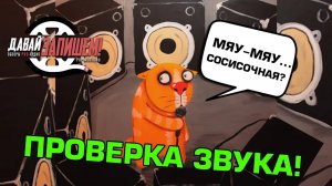 Проверка звука микрофона перед концертом. Так ли нужны раз-два-три и сосисочные?