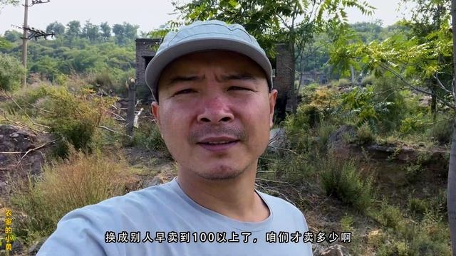 蜂场条件艰苦，清炖排骨改善伙食，软烂脱骨原汁原味，越嚼越香 смотреть онлайн