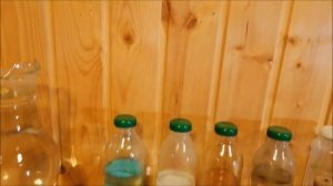 ГИДРОПЛАЗМА ПОЧЕЕВСКОГО