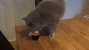 Когда кофе Оно.Как определить качество