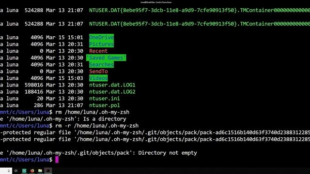Agora, vamos instalar Oh My Zsh #12 смотреть онлайн