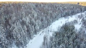Стройка в лесу: хижина, балаган и самодельный снегоход.