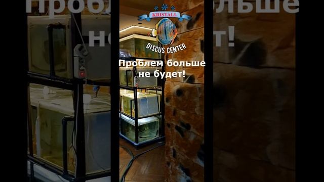 Электричество без проблем!