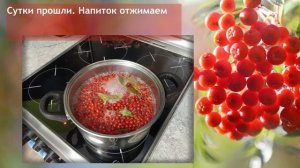 Рябиновый морс   Федорова Надежда