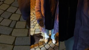 Адлер.Новый год 2025.