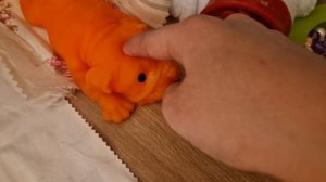 новости/мандаринки заболела 🤒1 часть