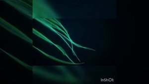 Разоблачение Гринвей