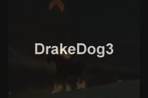 DrakeDog 3 [Warlock]