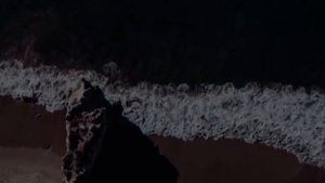 *|\/| YUSUF EKSIOGLU |/\|* *…*CHAKI CHAKI..*  || 2023 || #music #musica #song #songs #short #shorts