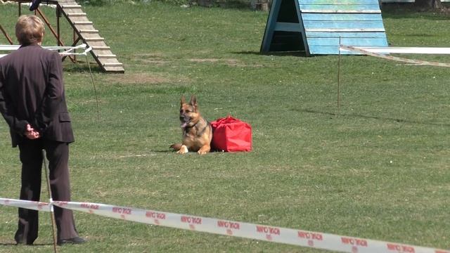 Чемпионат Московской области 2016 г. по ОКД и ЗКС. смотреть онлайн