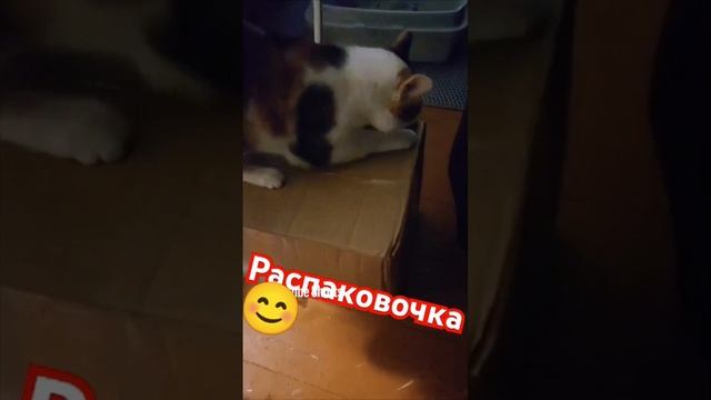 распаковочка 😊