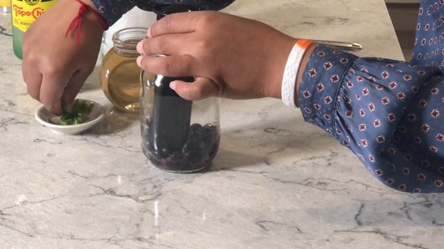 BLUEBERRY MINT MOCKTAIL | Immunity Boosting Summer Drink | Desi Fusion Kitchen смотреть онлайн