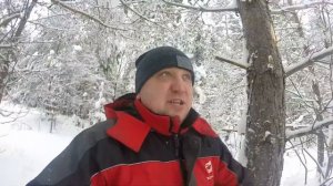 охота на куницу