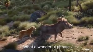 Hakuna Matata - English subtitles