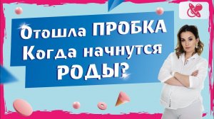 Что такое пробка у беременной. Является ли отхождение пробки предвестником родов.