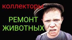коллекторы. Тинькофф, ремонт животных