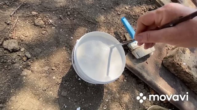 209ч🏡09.04.24-Интернет/Планы на ремонт/Побелила деревья/Водопровод