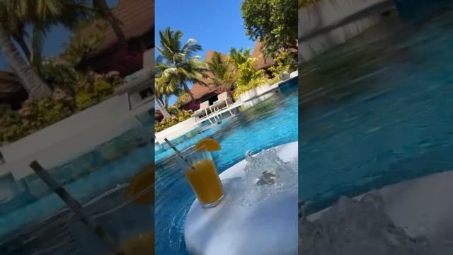 На Рахате На Мальдивах Пальмы Море Пляж Мальдивы Красиво и Жарко #shorts #shortsvideo  #shorts_video