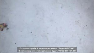 5 мест для прогулок в городе