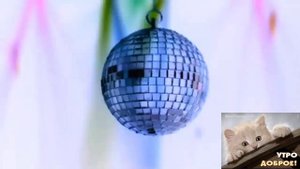 #ДИСКОТЕКА КОШЕК# Meow Mix Song In G Major 1
