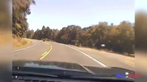 Dashcam Video Shows Oregon Cop Kicking Motorcyclist