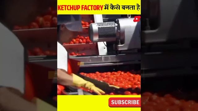 Ketchup को Factory 🏭 में कैसे बनाया जाता है 😱#shorts |equifact