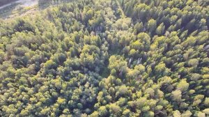 Озерки. Республика Башкортостан. Вид с высоты птичьего полета