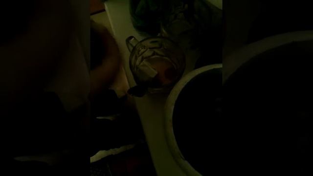 Дресня