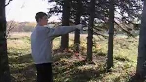 Стрельба из Осы