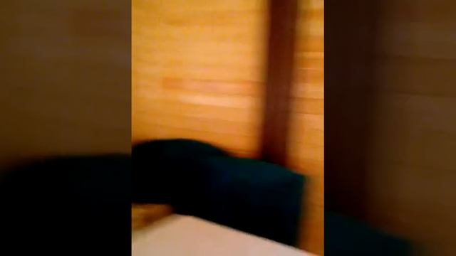 VID 20150826 173539 смотреть онлайн