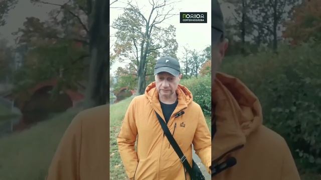 Сок для иммунитета и очищения суставов и костей